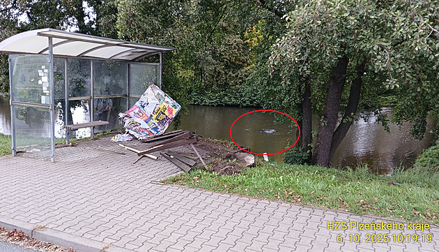 Senior se lekl zvířete a sjel do rybníka. Z potopeného auta sám vyplaval