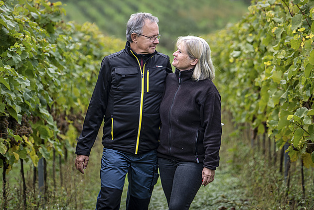 Dva roky okopávali ručně, místní zděšeně utekli. Víno je radost i bolest, líčí manželé