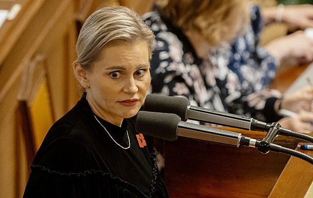 Rezignace? Zveřejnit intimní video je zásah do soukromí, zastává se koalice Rajchla