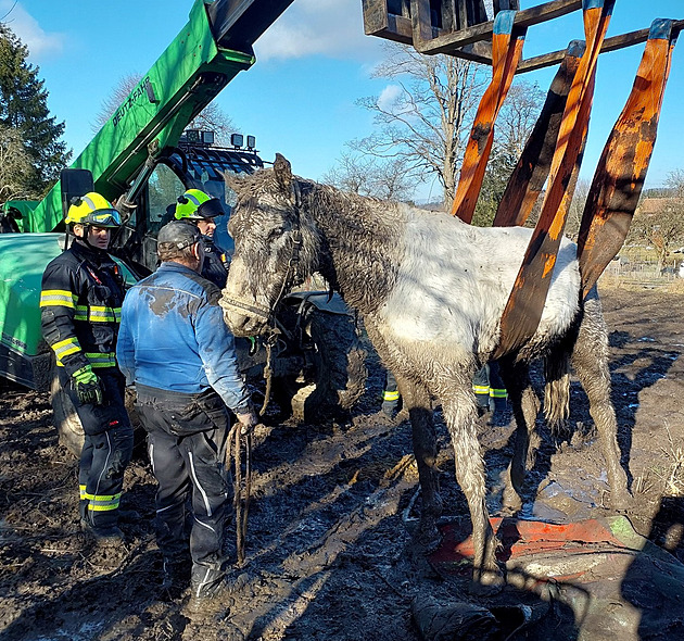 Hasiči zachraňovali koně uvázlého v bahně, sám se postavit nedokázal