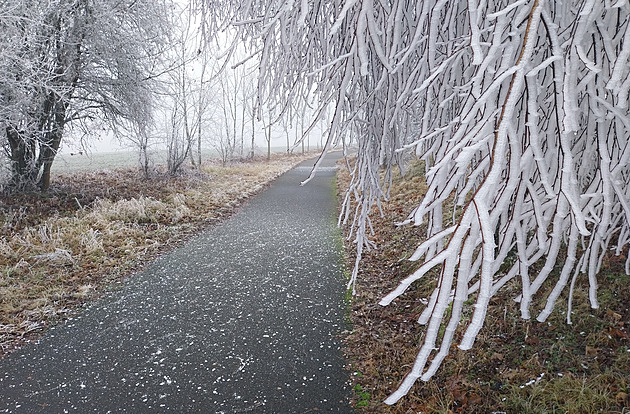 Lámání stromů i výpadky elektřiny. Mapa ukazuje, kde hrozí námraza a ledovka