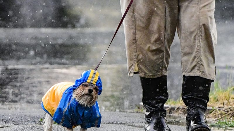 Udeří bouřky i sněhové přeháňky, s babím létem je konec. RADAR ukazuje, jak bude u vás