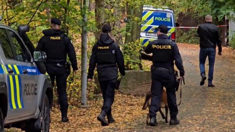 Brutální napadení běžkyně v Plzni: Policisté odhalili motiv nezletilého útočníka